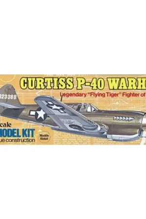 Express Levering Curtiss p-40 RC vliegtuig