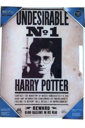 Nu Kopen Harry Potter Glass Poster Undesirable No. 1 40 x 30 cm