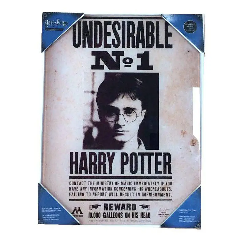 Nu Kopen Harry Potter Glass Poster Undesirable No. 1 40 x 30 cm