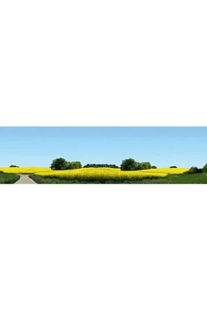 Floral background Beperkt Aanbod