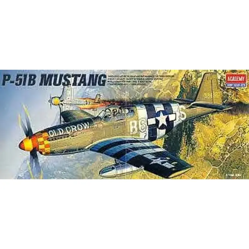 P -51B Mustang (ex 1667 ) Schaalmodel Nieuw