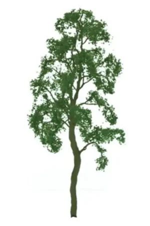 Meest Verkocht BOULEAUX 100mm - HO SCALE