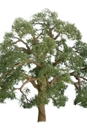 Koop Vandaag Oak 50mm - n scale