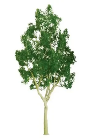 Beste Prijs EUCALYPTUS 75mm - HO SCALE
