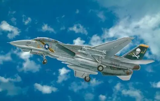 Direct Verzonden Italeri 1/48 F-14A Tomcat